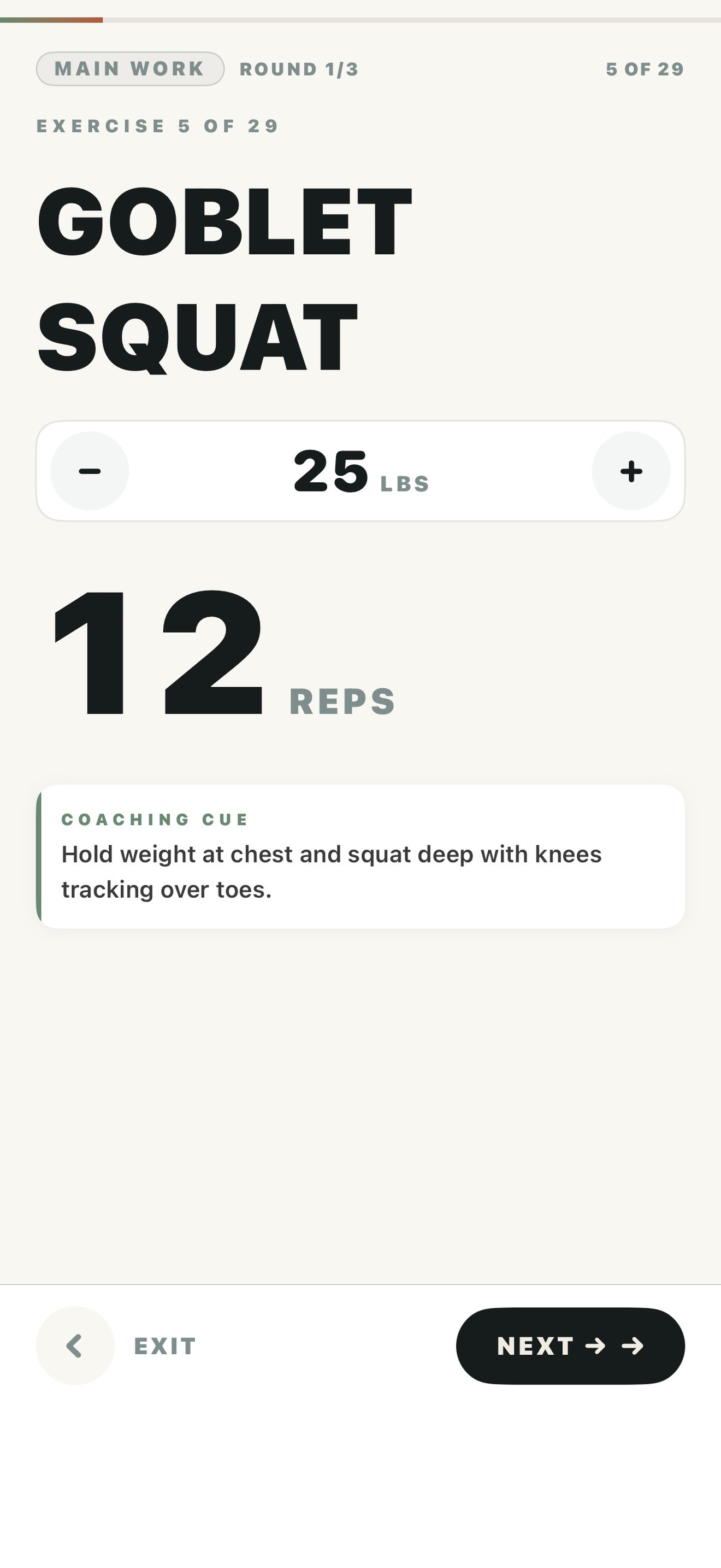 Guided workout showing goblet squat with weight, reps, and coaching cue